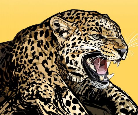 Leopard Graphic Art