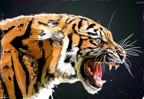 Tiger Realism