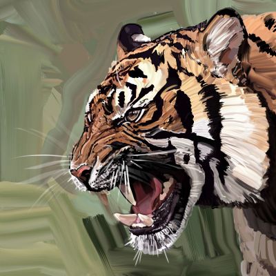 Tiger study painting